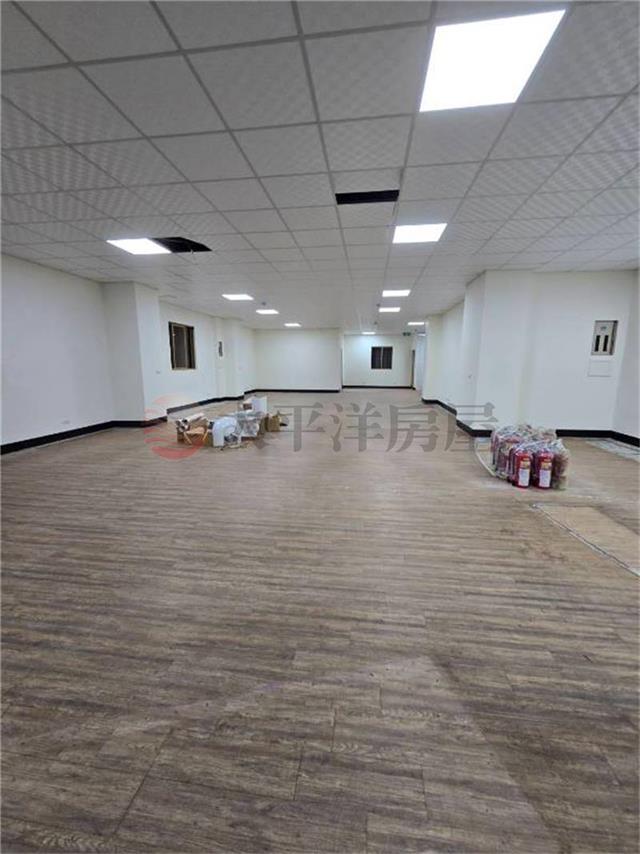 愛國路雙店面
