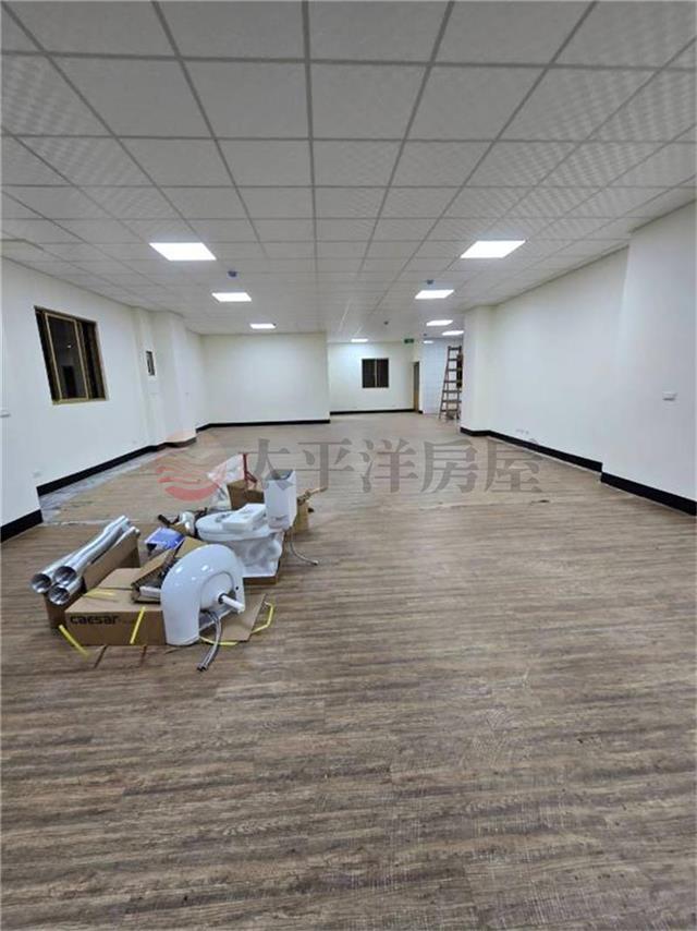 愛國路雙店面