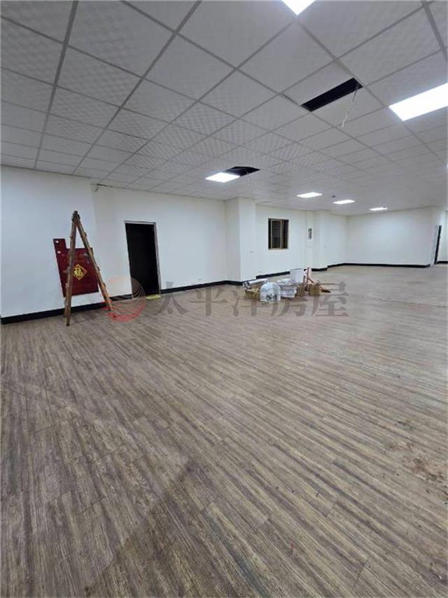 愛國路雙店面