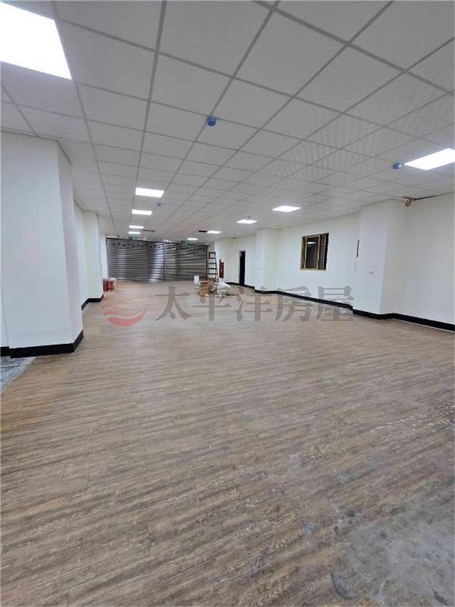 愛國路雙店面
