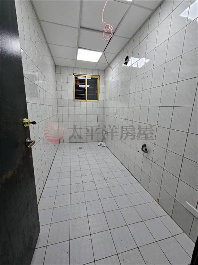 愛國路雙店面